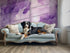 Lavender Luminance Wallpaper #108
